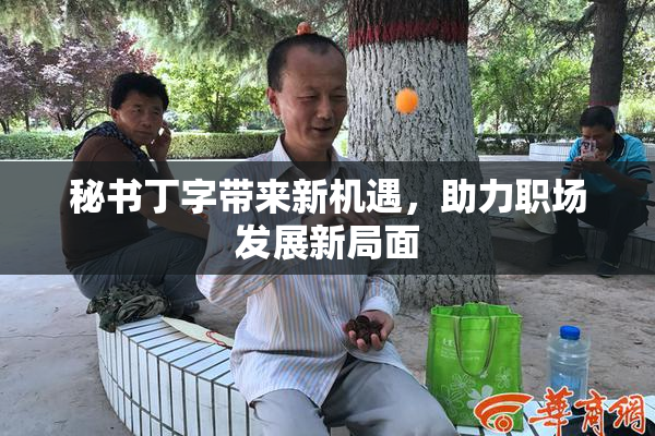 秘书丁字带来新机遇，助力职场发展新局面