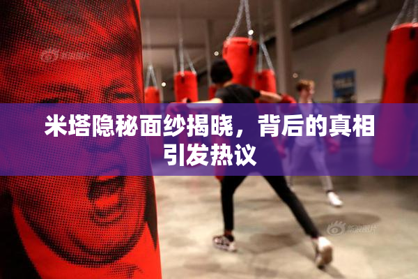 米塔隐秘面纱揭晓，背后的真相引发热议