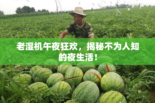 老湿机午夜狂欢，揭秘不为人知的夜生活！