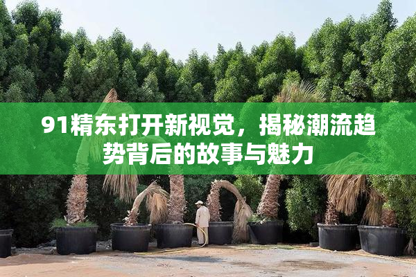 91精东打开新视觉，揭秘潮流趋势背后的故事与魅力