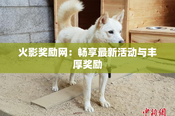 火影奖励网：畅享最新活动与丰厚奖励