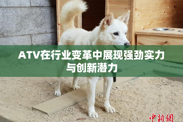 ATV在行业变革中展现强劲实力与创新潜力