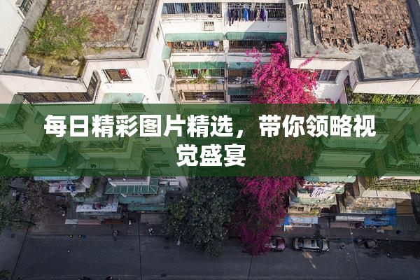 每日精彩图片精选，带你领略视觉盛宴