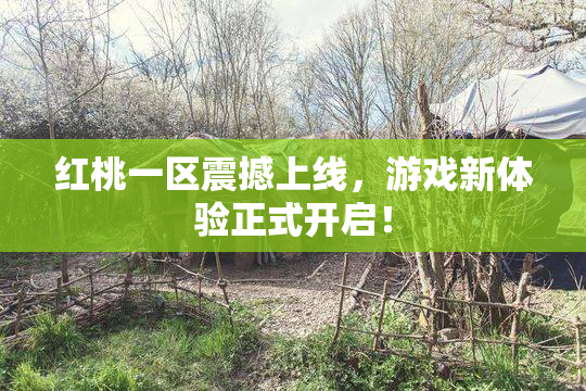 红桃一区震撼上线，游戏新体验正式开启！