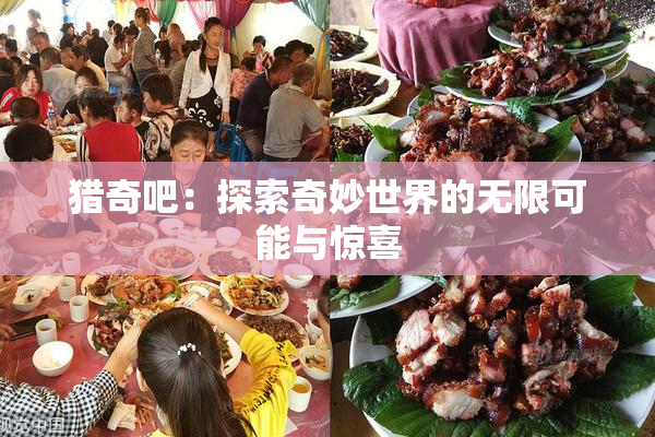 猎奇吧：探索奇妙世界的无限可能与惊喜