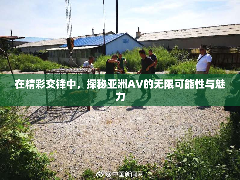 在精彩交锋中，探秘亚洲AV的无限可能性与魅力