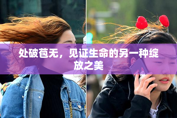 处破苞无，见证生命的另一种绽放之美
