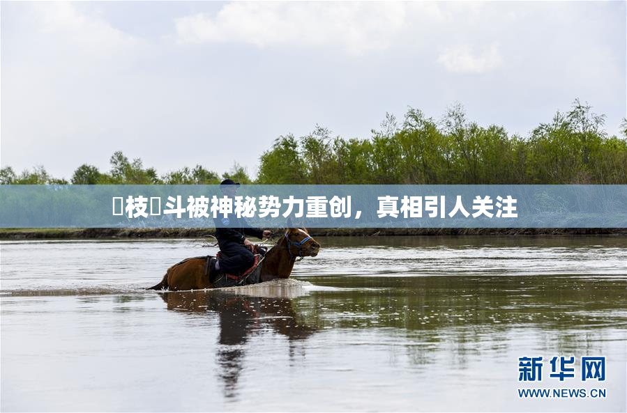狛枝凪斗被神秘势力重创，真相引人关注