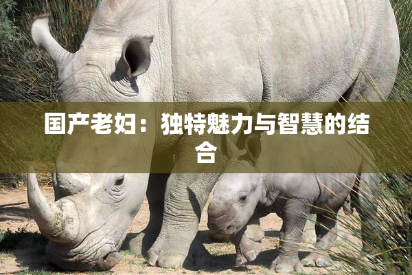 国产老妇：独特魅力与智慧的结合