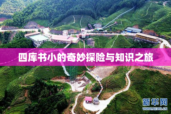 四库书小的奇妙探险与知识之旅