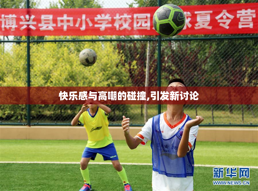 快乐感与高嘲的碰撞,引发新讨论