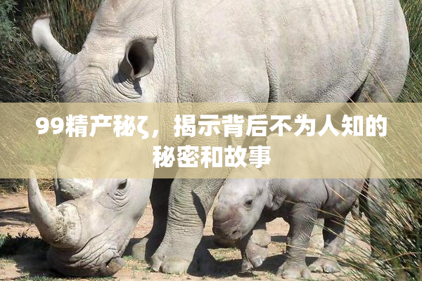 99精产秘ζ，揭示背后不为人知的秘密和故事