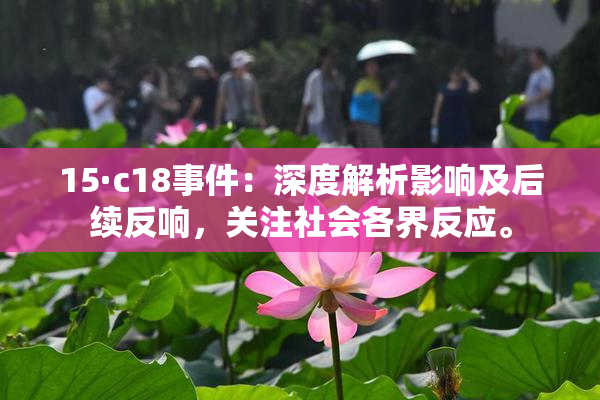 15·c18事件：深度解析影响及后续反响，关注社会各界反应。