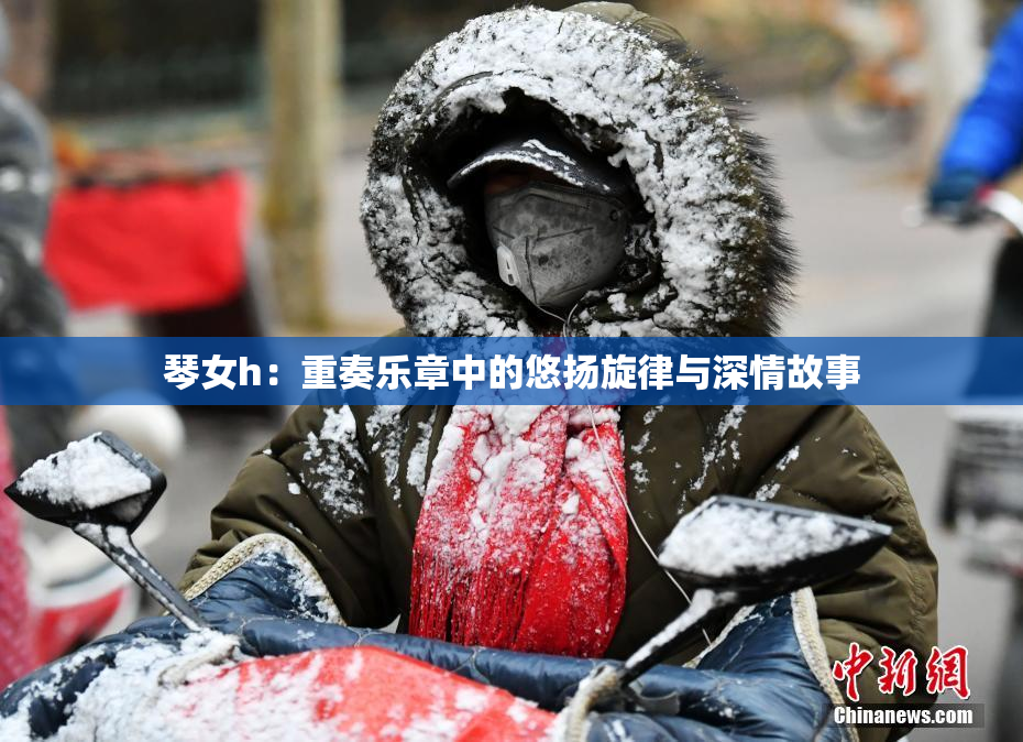 琴女h：重奏乐章中的悠扬旋律与深情故事