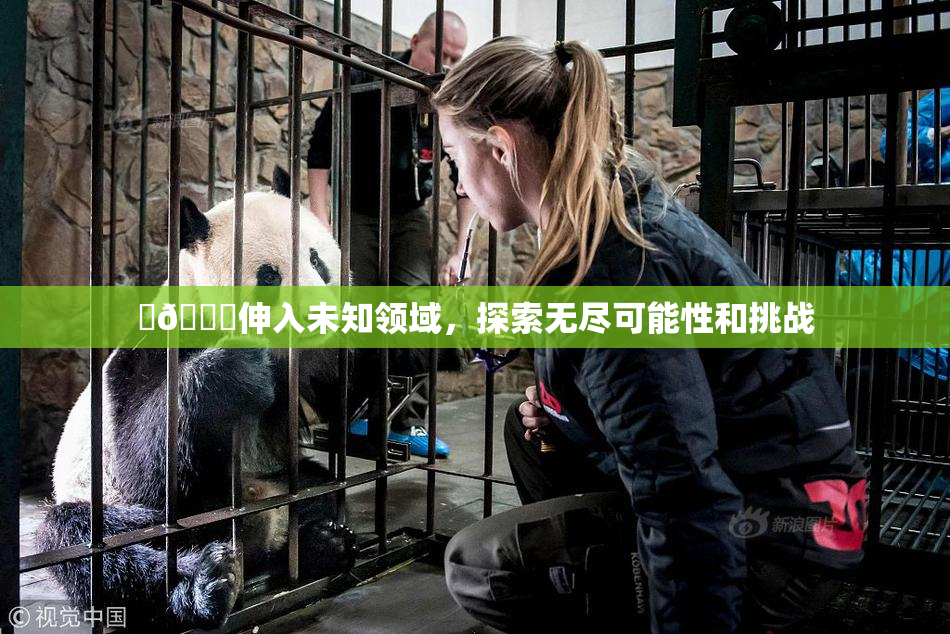 ‌🍌伸入未知领域，探索无尽可能性和挑战