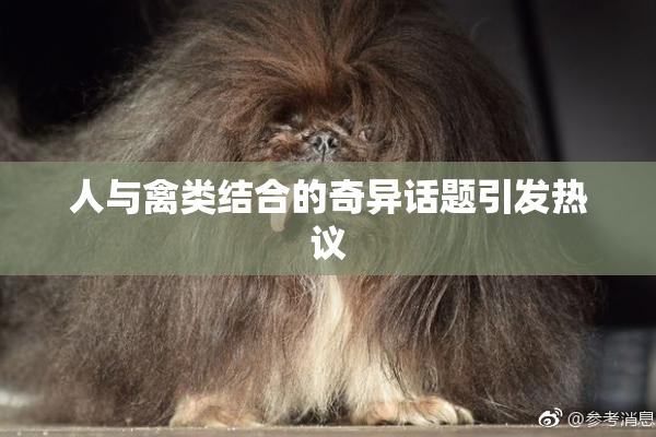 人与禽类结合的奇异话题引发热议