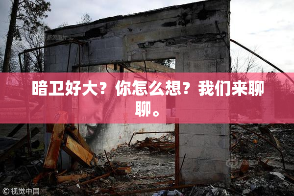 暗卫好大？你怎么想？我们来聊聊。