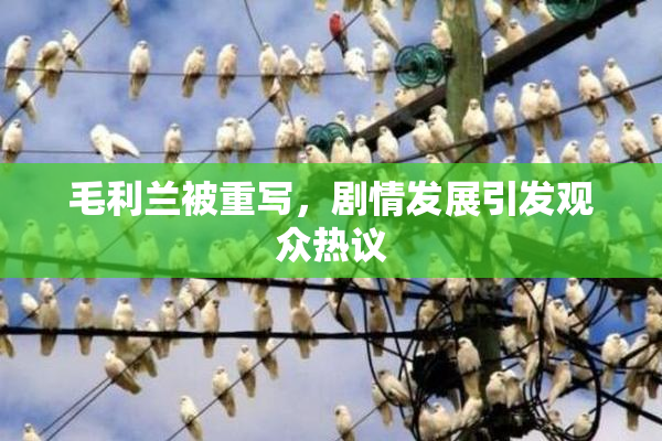 毛利兰被重写，剧情发展引发观众热议
