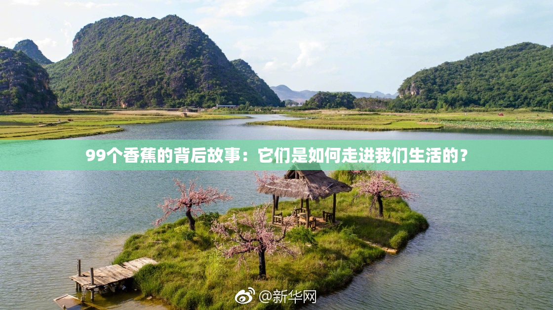 99个香蕉的背后故事：它们是如何走进我们生活的？