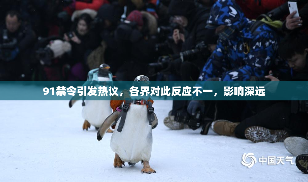 91禁令引发热议，各界对此反应不一，影响深远