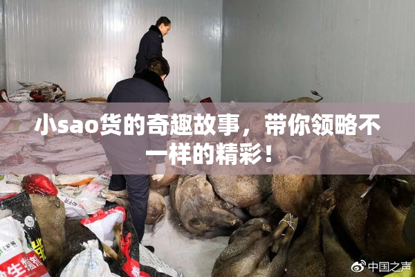 小sao货的奇趣故事，带你领略不一样的精彩！