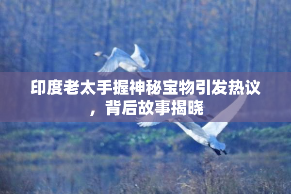 印度老太手握神秘宝物引发热议，背后故事揭晓