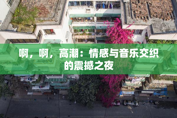 啊，啊，高潮：情感与音乐交织的震撼之夜
