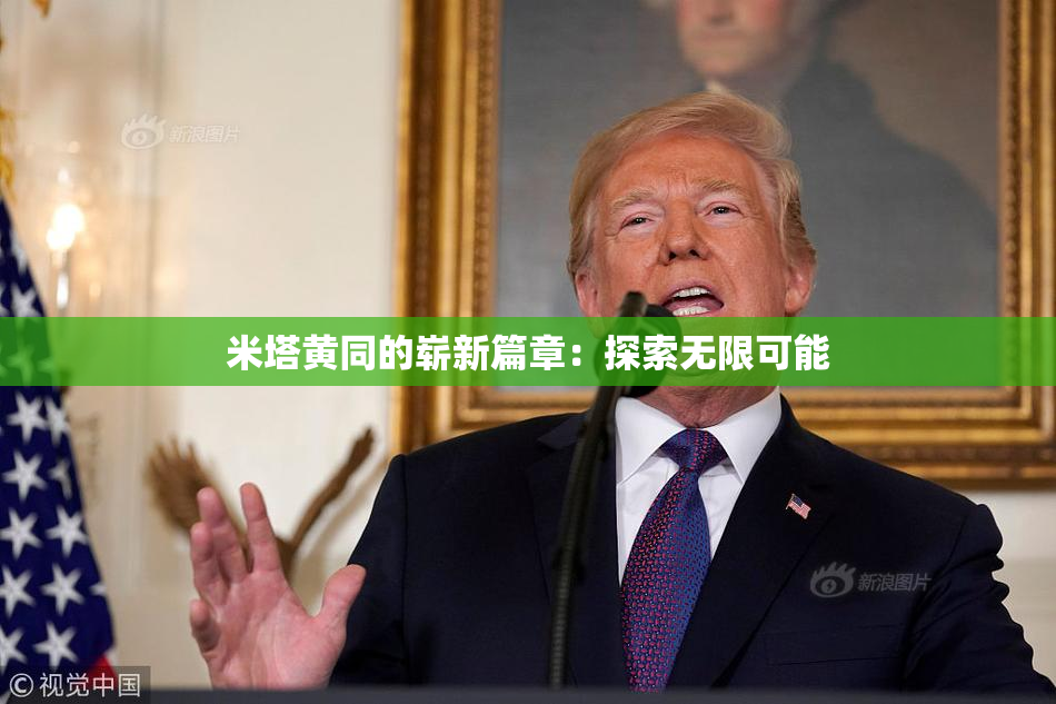 米塔黄同的崭新篇章：探索无限可能