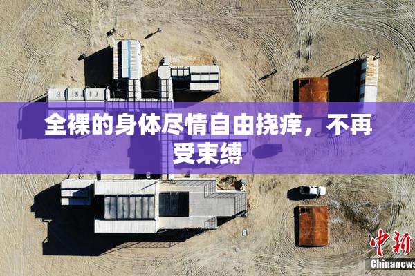 全裸的身体尽情自由挠痒，不再受束缚