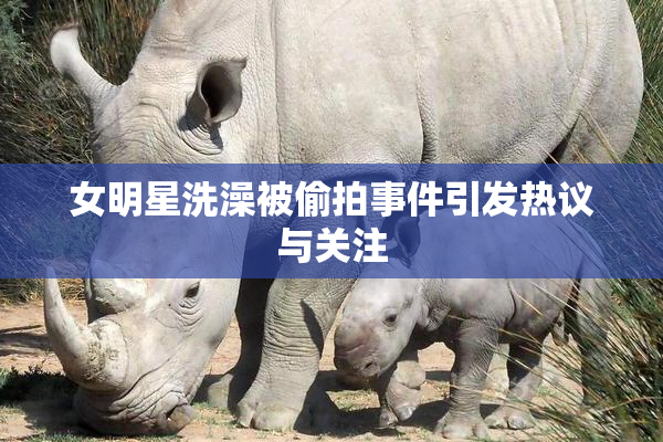 女明星洗澡被偷拍事件引发热议与关注