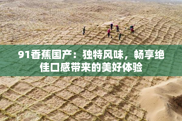 91香蕉国产：独特风味，畅享绝佳口感带来的美好体验