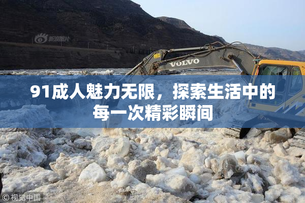 91成人魅力无限，探索生活中的每一次精彩瞬间