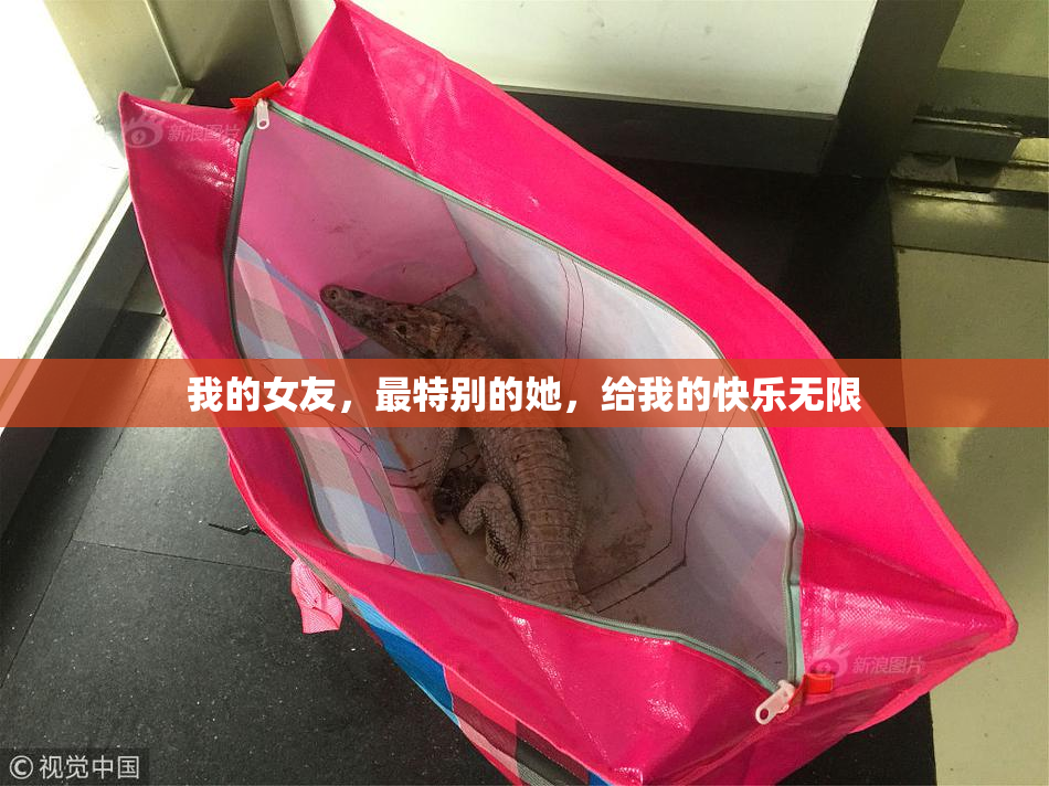 我的女友，最特别的她，给我的快乐无限