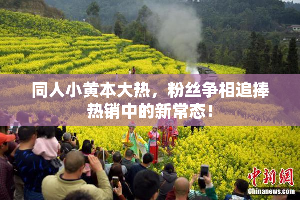 同人小黄本大热，粉丝争相追捧热销中的新常态！