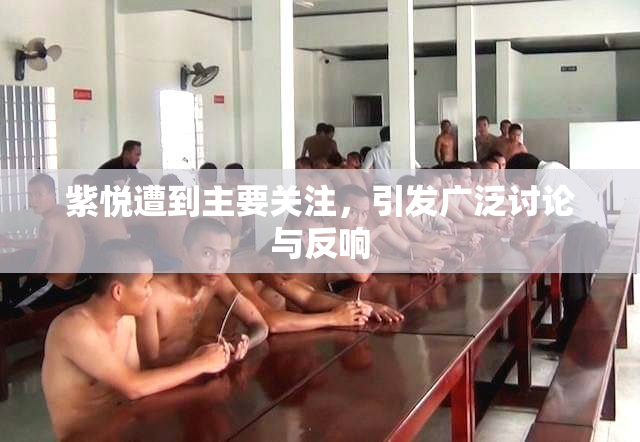 紫悦遭到主要关注，引发广泛讨论与反响