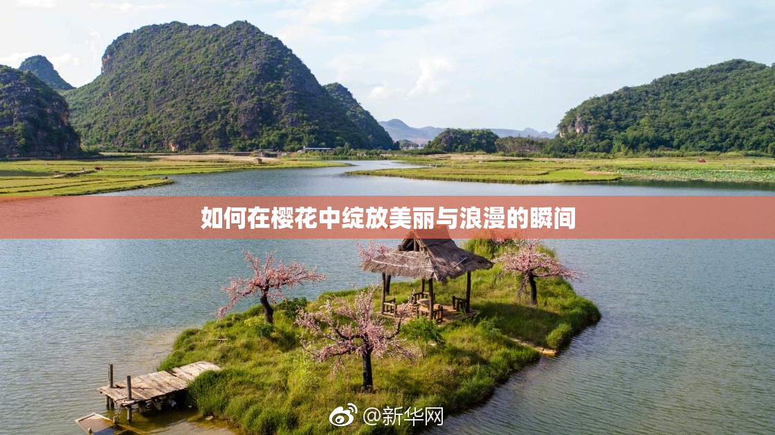 如何在樱花中绽放美丽与浪漫的瞬间