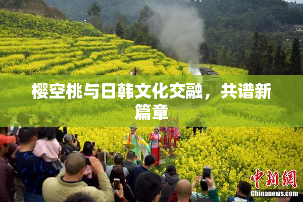 樱空桃与日韩文化交融，共谱新篇章
