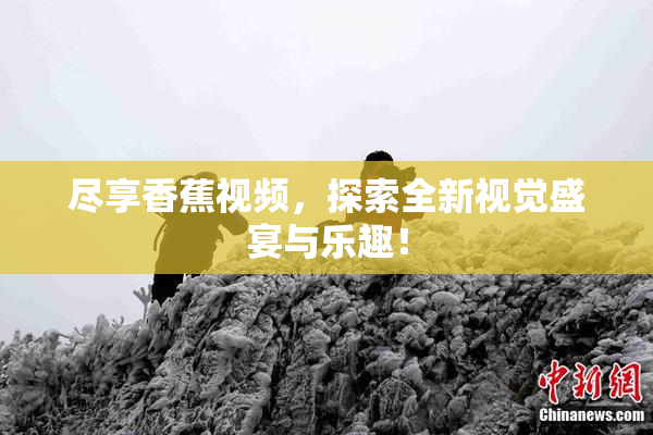 尽享香蕉视频，探索全新视觉盛宴与乐趣！