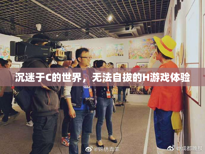 沉迷于C的世界，无法自拔的H游戏体验