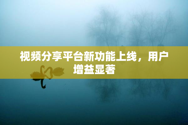 视频分享平台新功能上线，用户增益显著