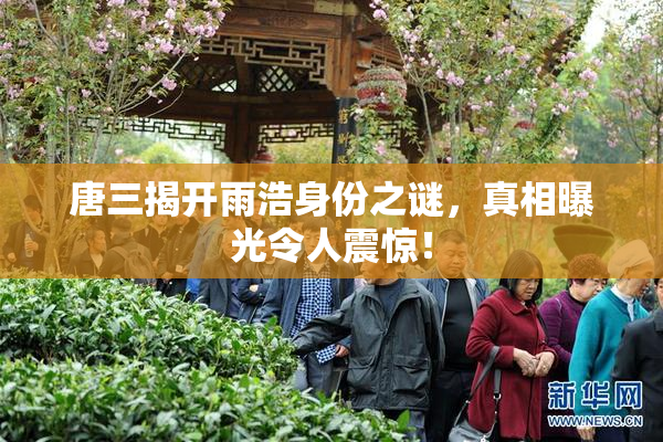 唐三揭开雨浩身份之谜，真相曝光令人震惊！