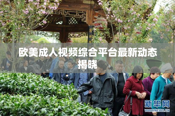欧美成人视频综合平台最新动态揭晓