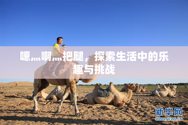 嗯灬啊灬把腿，探索生活中的乐趣与挑战