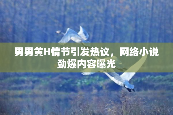 男男黄H情节引发热议，网络小说劲爆内容曝光