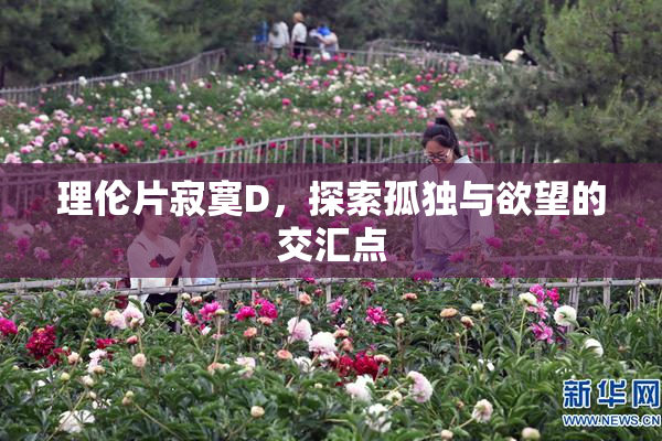 理伦片寂寞D，探索孤独与欲望的交汇点