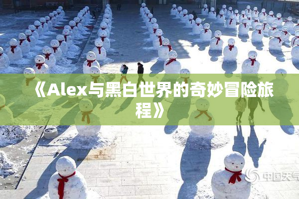 《Alex与黑白世界的奇妙冒险旅程》