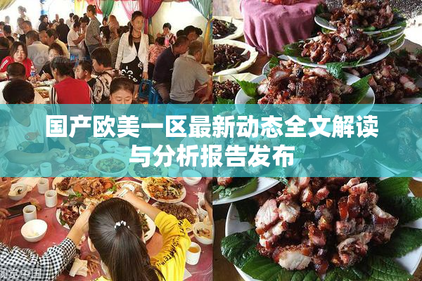 国产欧美一区最新动态全文解读与分析报告发布