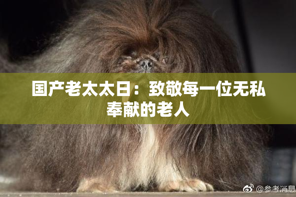 国产老太太日：致敬每一位无私奉献的老人