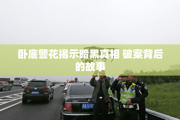 卧底警花揭示暗黑真相 破案背后的故事