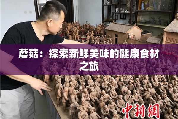 蘑菇：探索新鲜美味的健康食材之旅